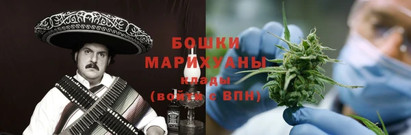 ГАЛЛЮЦИНОГЕННЫЕ ГРИБЫ Надым
