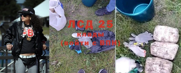 ГАЛЛЮЦИНОГЕННЫЕ ГРИБЫ Надым