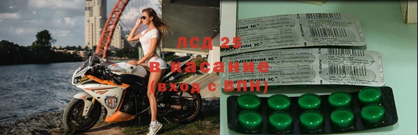 сатива Наволоки
